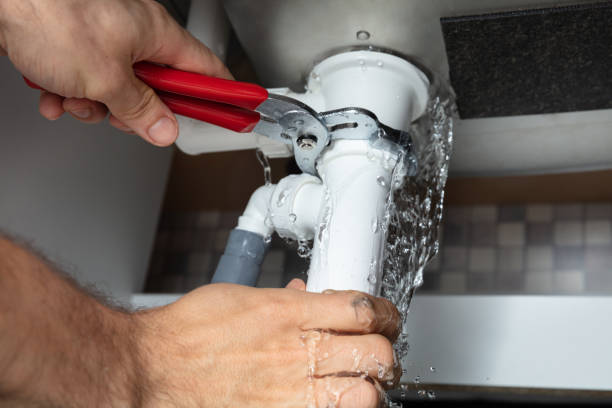Best Commercial water damage restoration  in Paisley, FL