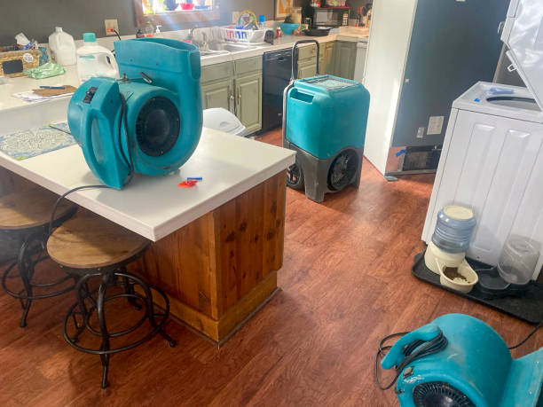 Best Local water damage restoration  in Paisley, FL