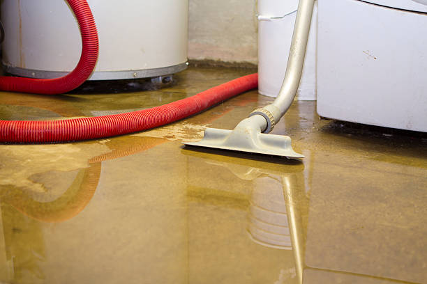 Water damage restoration insurance claims in Paisley, FL