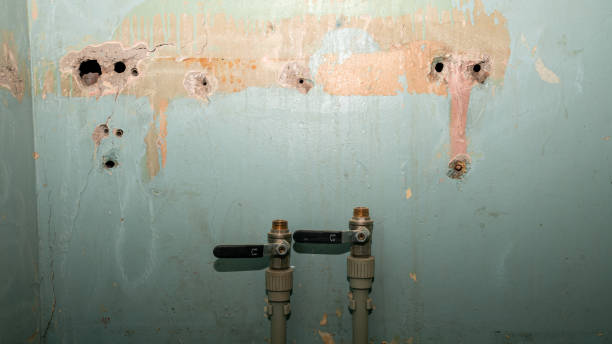 Best Carpet water damage restoration  in Paisley, FL
