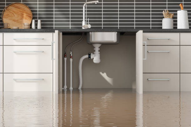 Best Flood damage cleanup  in Paisley, FL