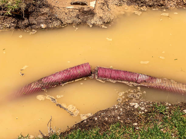 Best Water damage restoration near me  in Paisley, FL